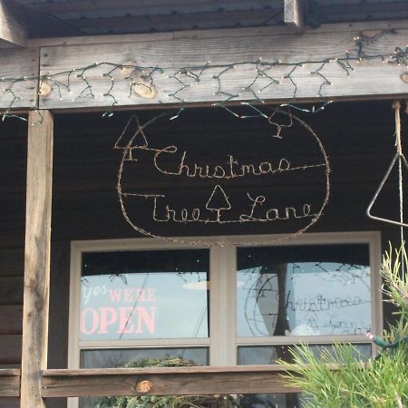 Rural Life On A Real Christmas Tree Farm! Hallmark Experience! Ozark Extérieur photo