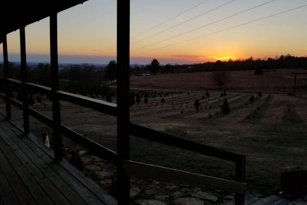 Rural Life On A Real Christmas Tree Farm! Hallmark Experience! Ozark Extérieur photo
