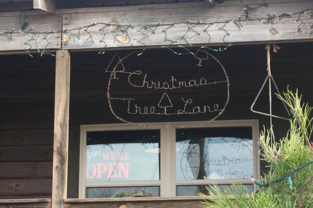 Rural Life On A Real Christmas Tree Farm! Hallmark Experience! Ozark Extérieur photo