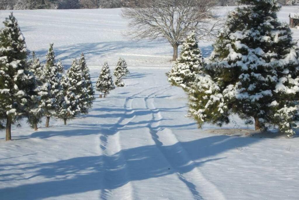 Rural Life On A Real Christmas Tree Farm! Hallmark Experience! Ozark Extérieur photo