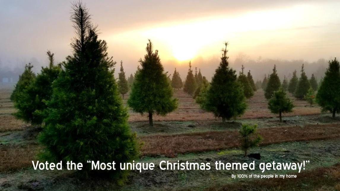 Rural Life On A Real Christmas Tree Farm! Hallmark Experience! Ozark Extérieur photo