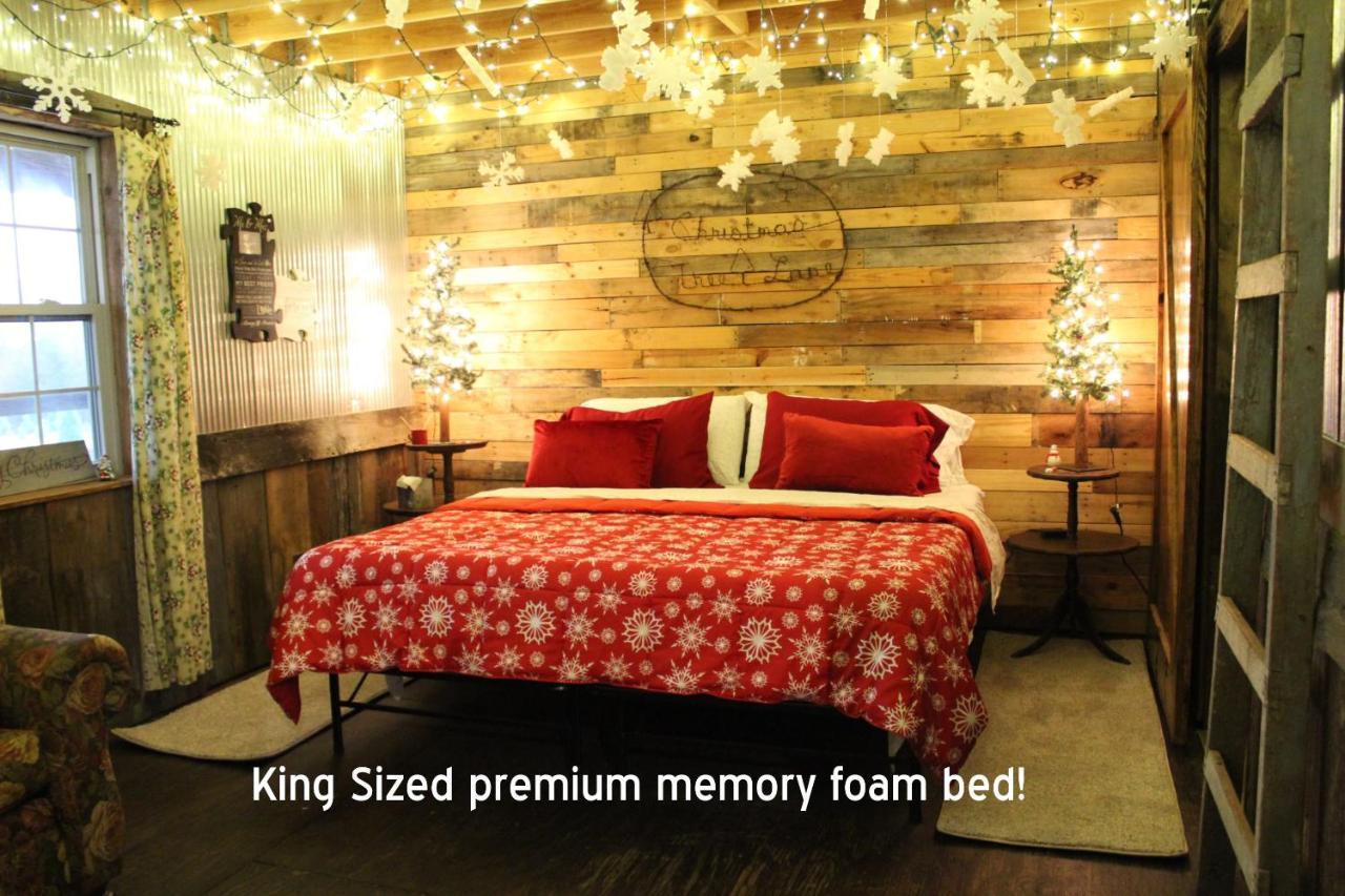 Rural Life On A Real Christmas Tree Farm! Hallmark Experience! Ozark Extérieur photo