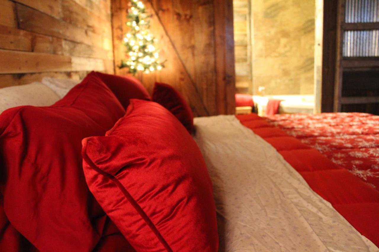 Rural Life On A Real Christmas Tree Farm! Hallmark Experience! Ozark Extérieur photo