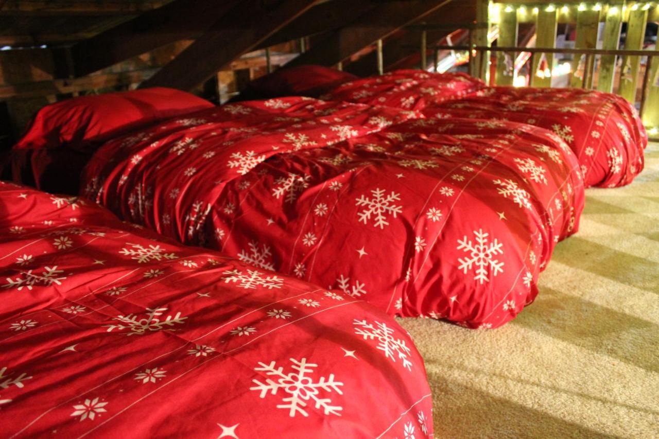 Rural Life On A Real Christmas Tree Farm! Hallmark Experience! Ozark Extérieur photo