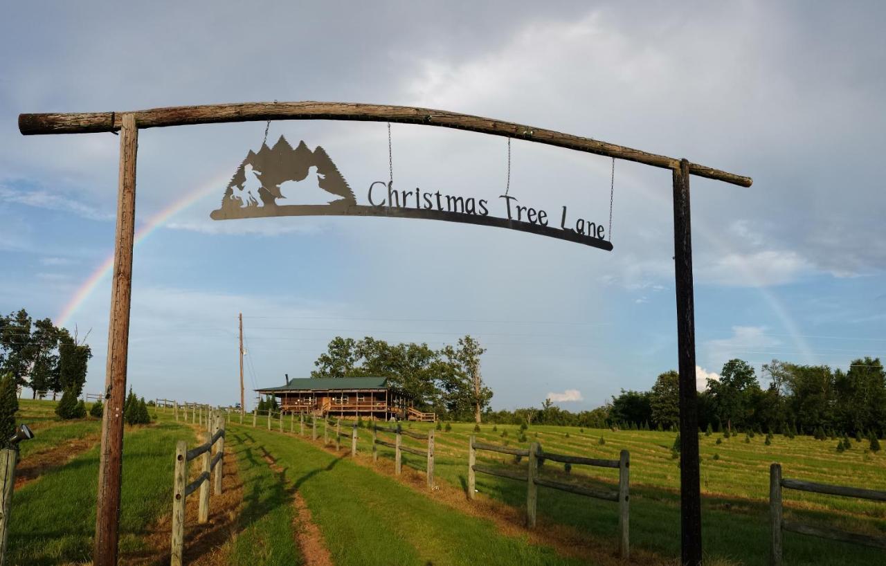 Rural Life On A Real Christmas Tree Farm! Hallmark Experience! Ozark Extérieur photo