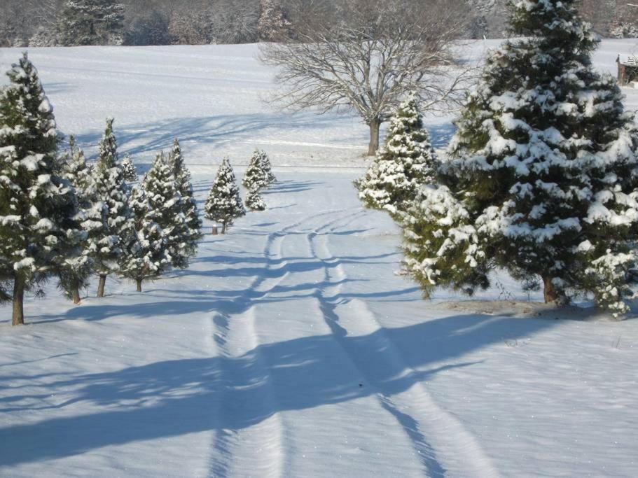 Rural Life On A Real Christmas Tree Farm! Hallmark Experience! Ozark Extérieur photo
