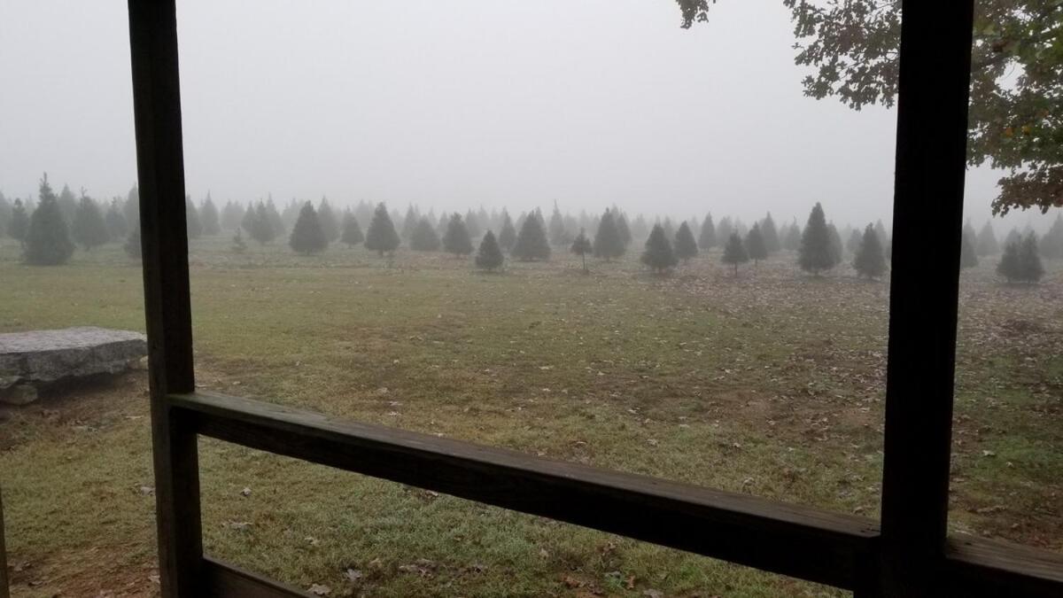 Rural Life On A Real Christmas Tree Farm! Hallmark Experience! Ozark Extérieur photo