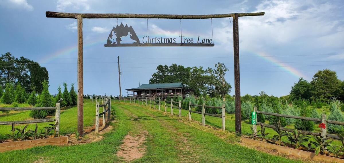Rural Life On A Real Christmas Tree Farm! Hallmark Experience! Ozark Extérieur photo